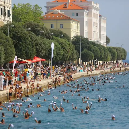 T&d Zadar